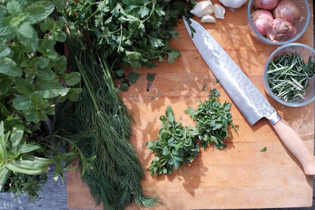 Plantas para colocar na mesa da cozinha.