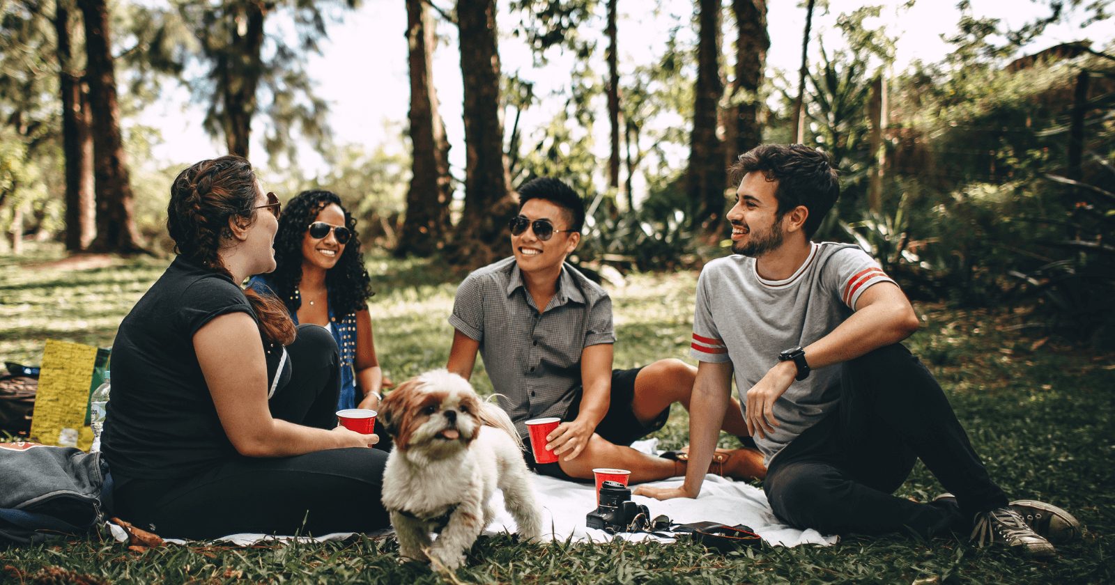 Frases de amizade para amigo: homenagens com cumplicidade