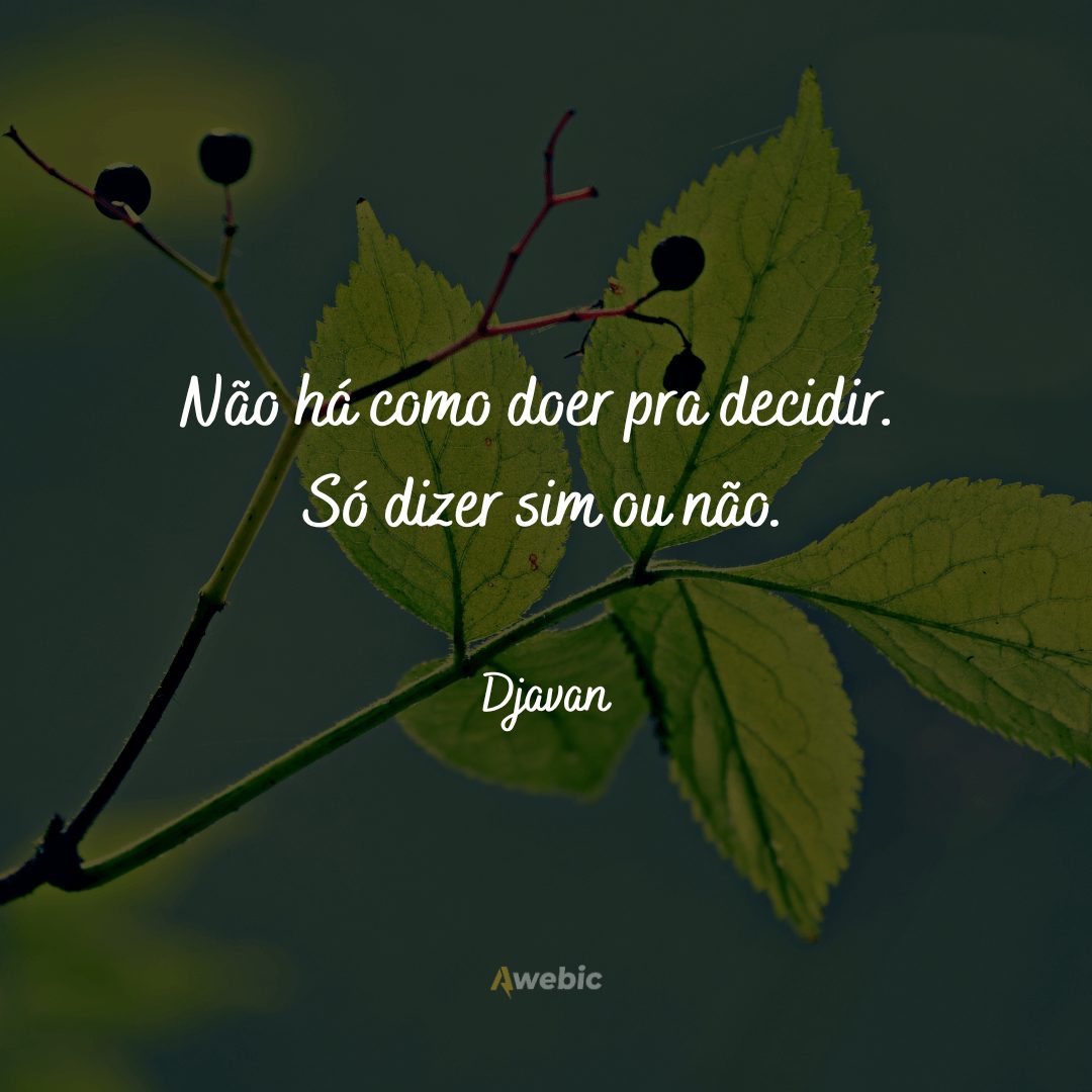 frases-de-djavan