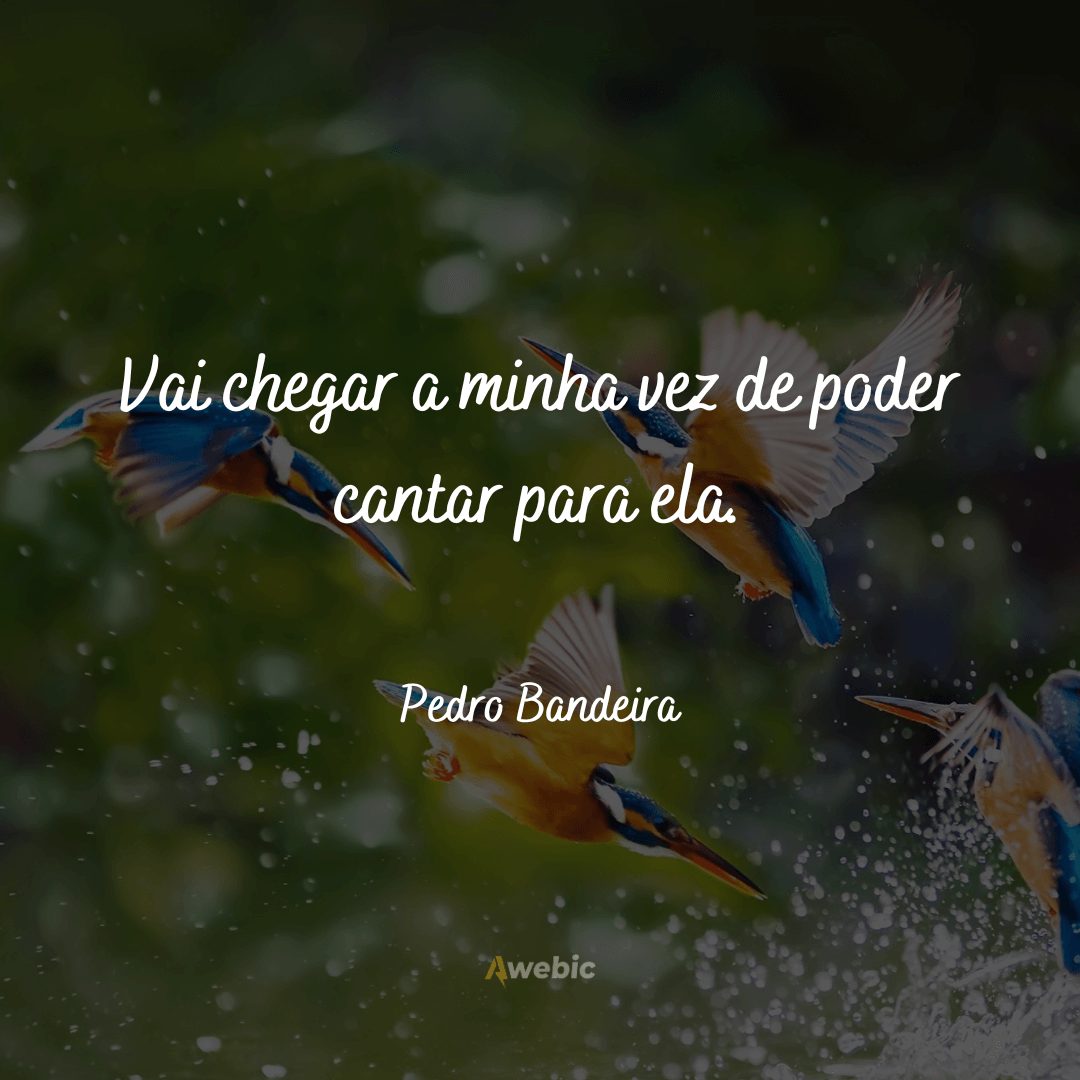 frases-de-pedro-bandeira