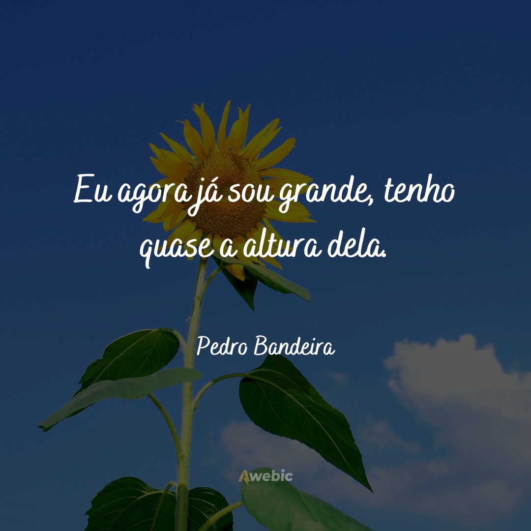 frases-de-pedro-bandeira