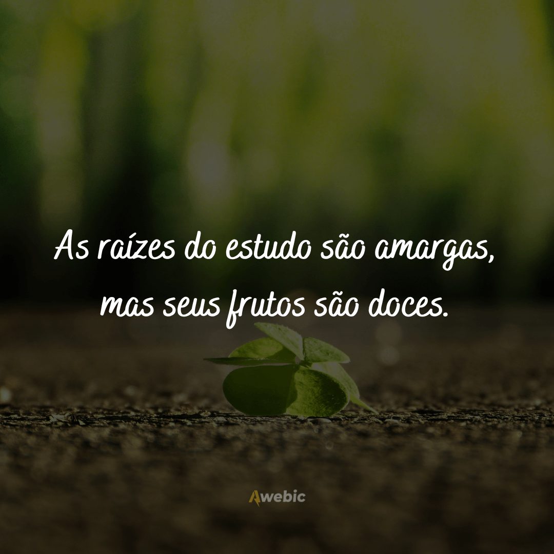 frases-de-tristeza-e-dor