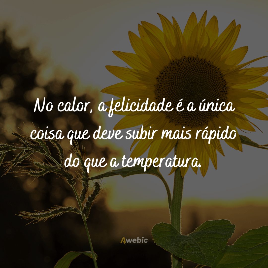 frases-para-dias-quente