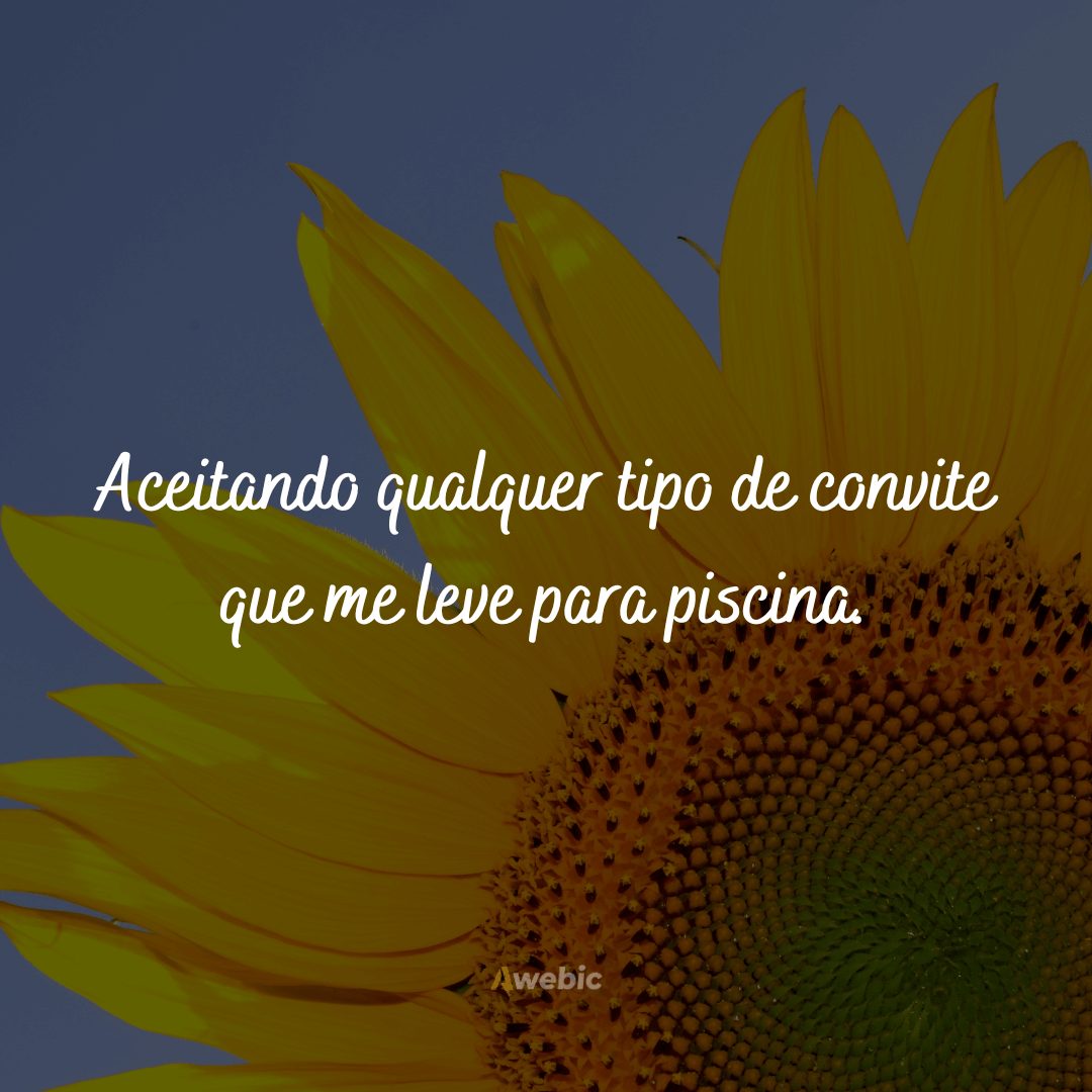 frases-para-dias-quente