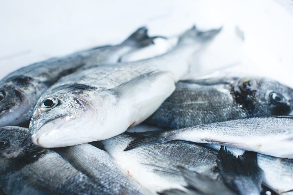 Os sonhos com peixes podem simbolizar a profundidade de suas emoções.