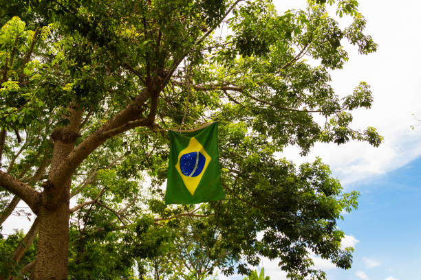 pensamentos-do-dia-da-bandeira