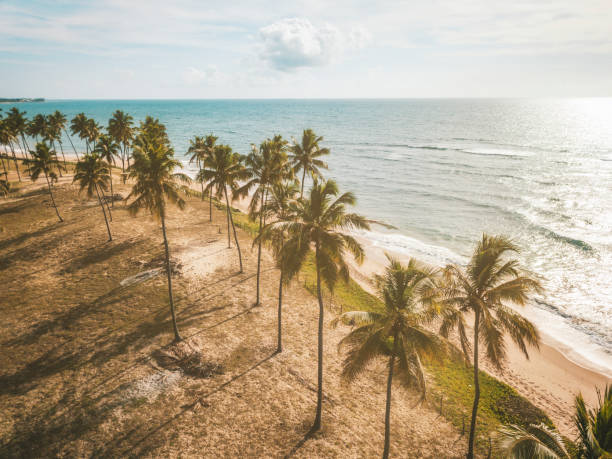 poema-mais-lindo-do-nordeste