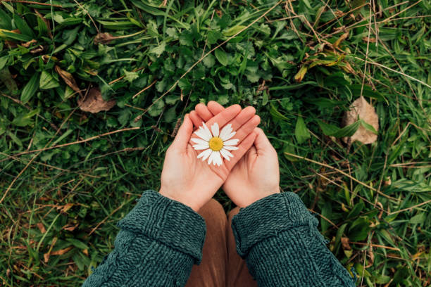 poema-mais-lindo-sobre-flores