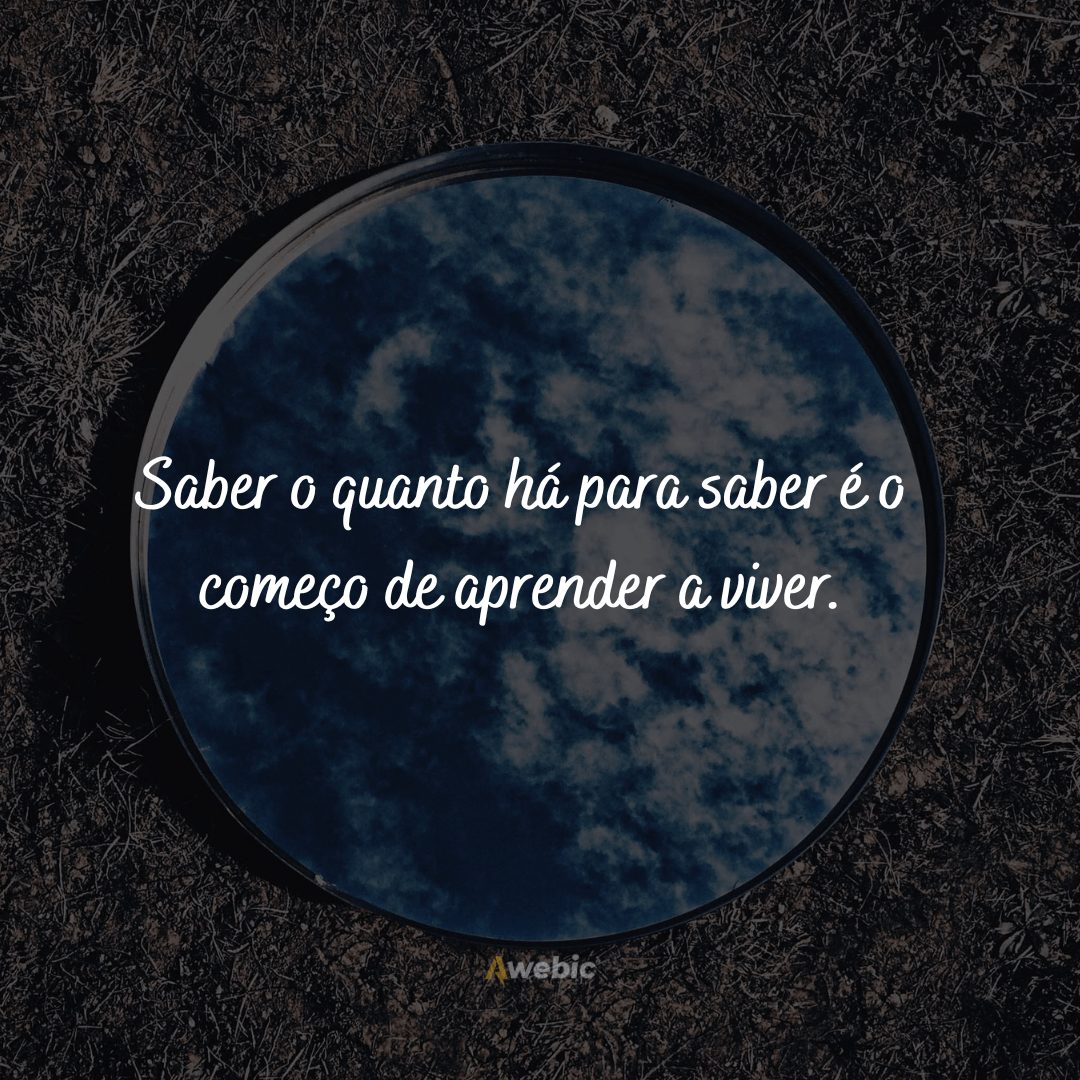 Frases motivacionais