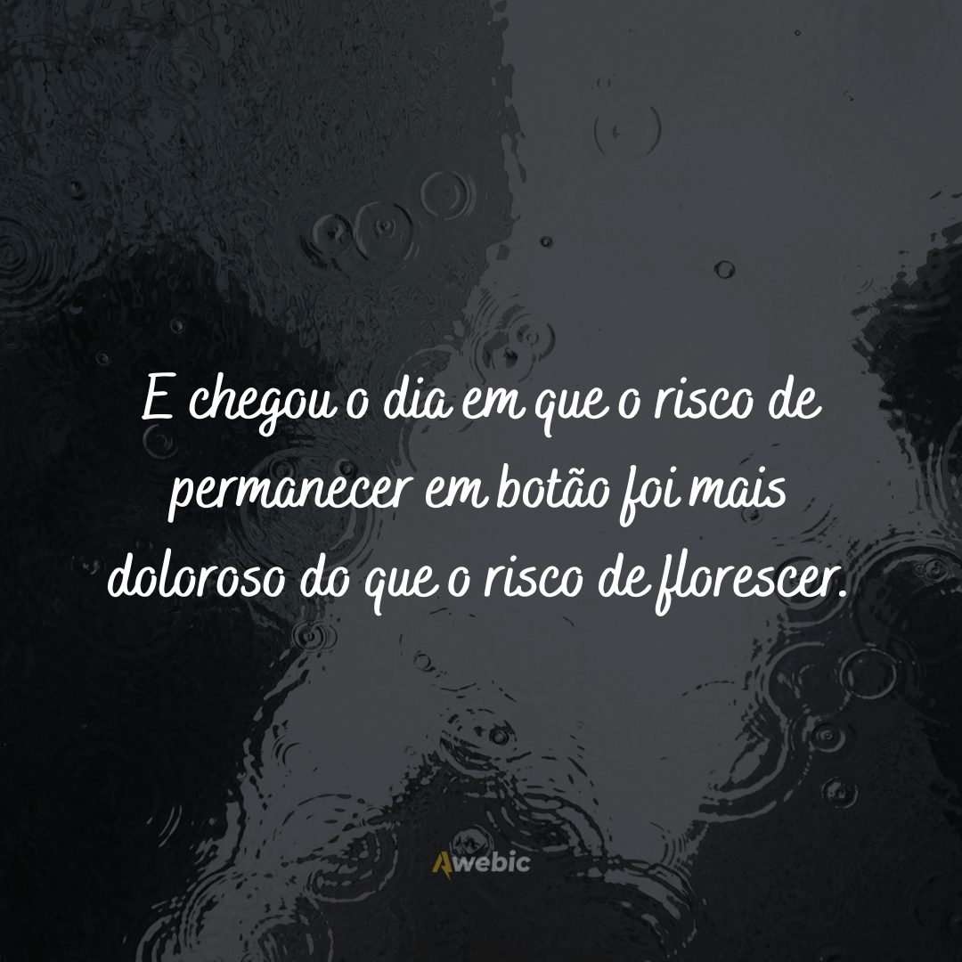 Frases motivacionais