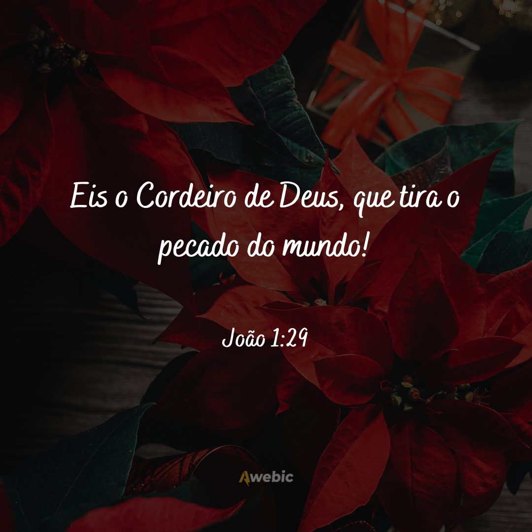 frases-biblicas-natalinas-sobre-nascimento-de-jesus