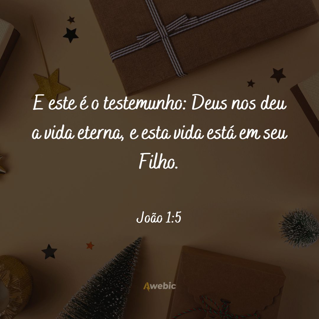 frases-biblicas-natalinas-sobre-nascimento-de-jesus