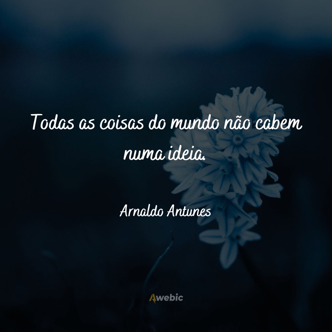 frases-de-arnaldo-antunes