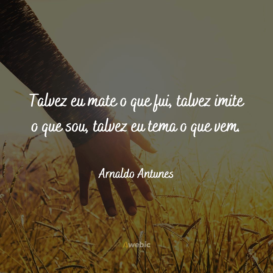 frases-de-arnaldo-antunes