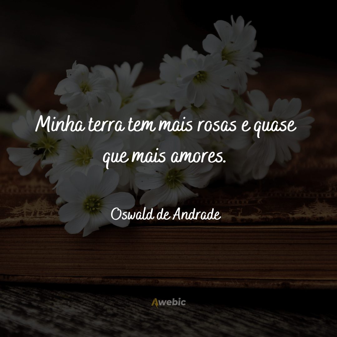 frases-de-oswald-de-andrade