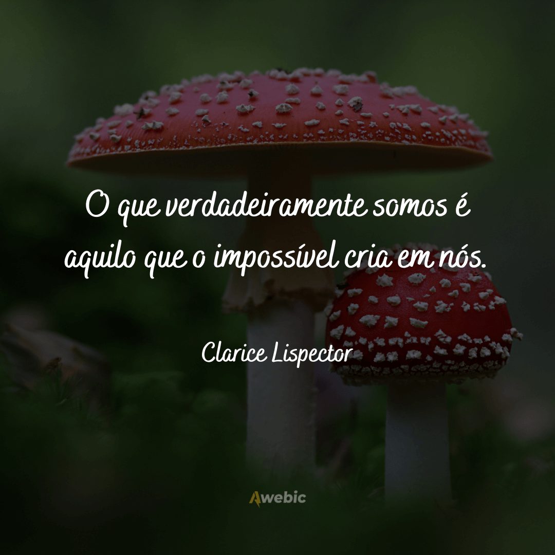 pensamentos-de-clarice-lispector-sobre-a-vida