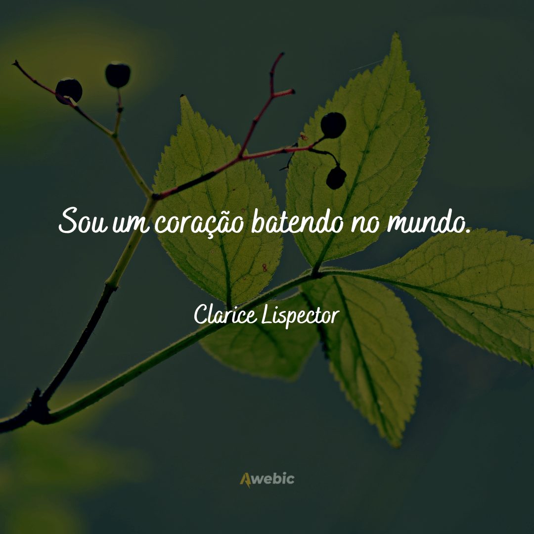 pensamentos-de-clarice-lispector-sobre-a-vida