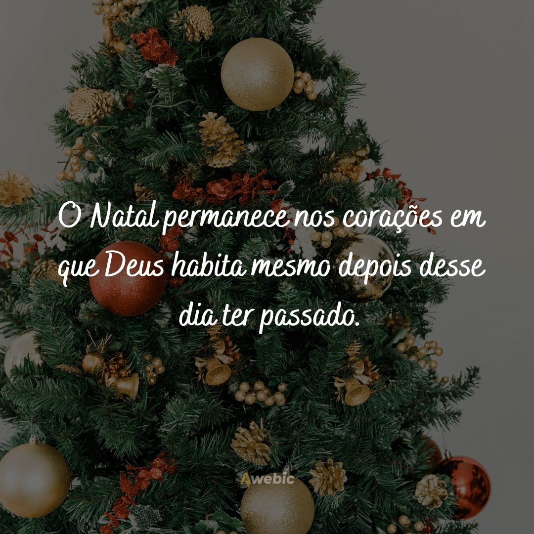 pensamentos-de-gratidao-para-o-natal