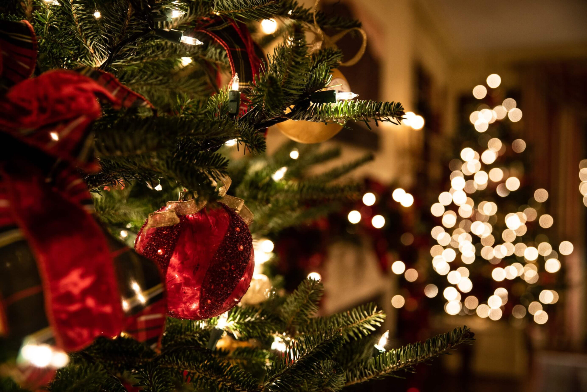 A árvore de Natal é um símbolo de luz e proteção espiritual.