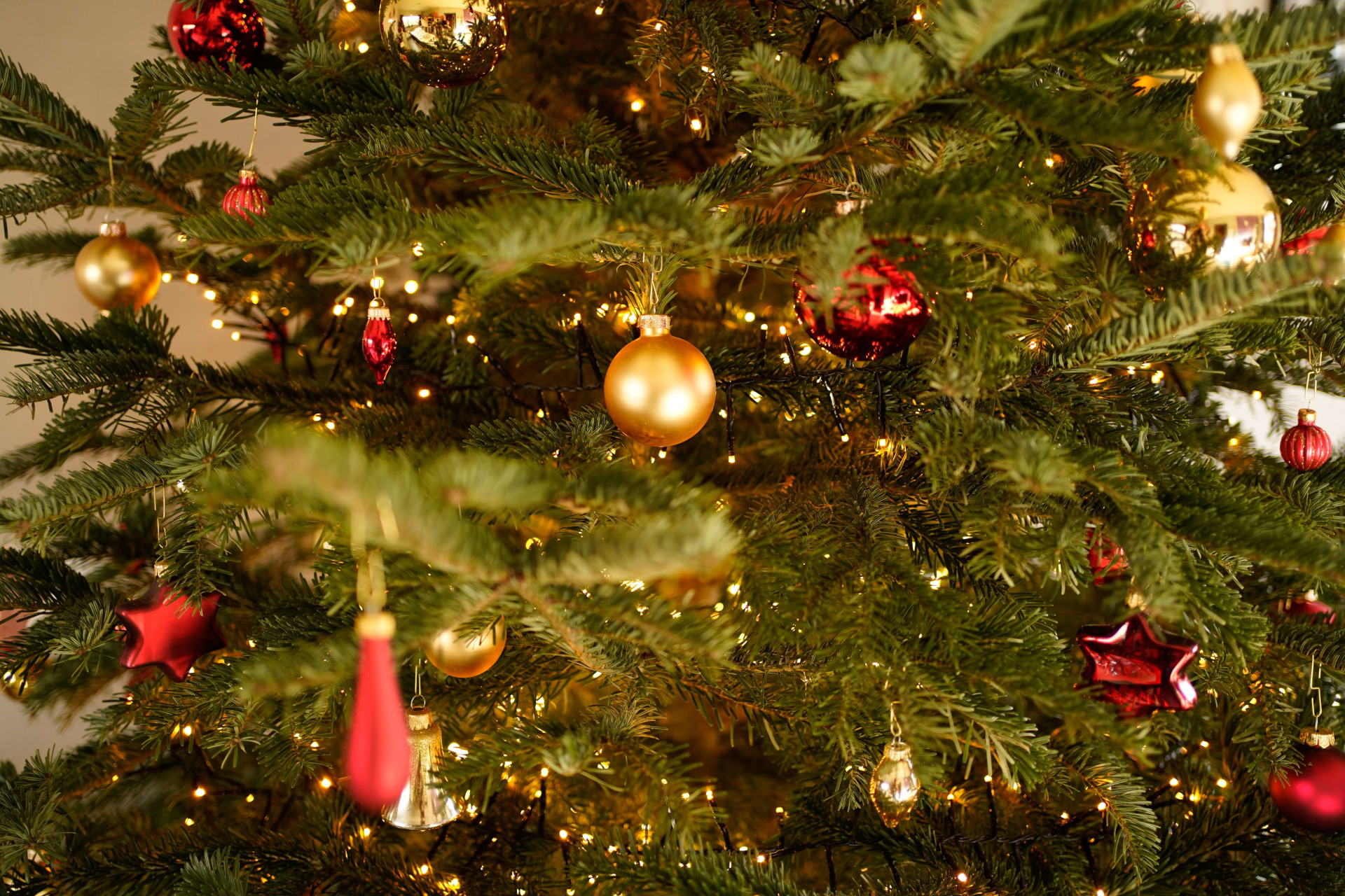 Unir-se em torno da mesa no Natal é uma celebração do amor e da harmonia.