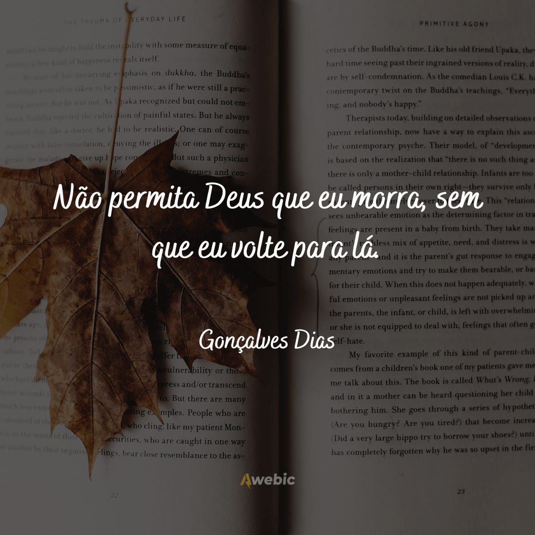 Frases de Gonçalves Dias