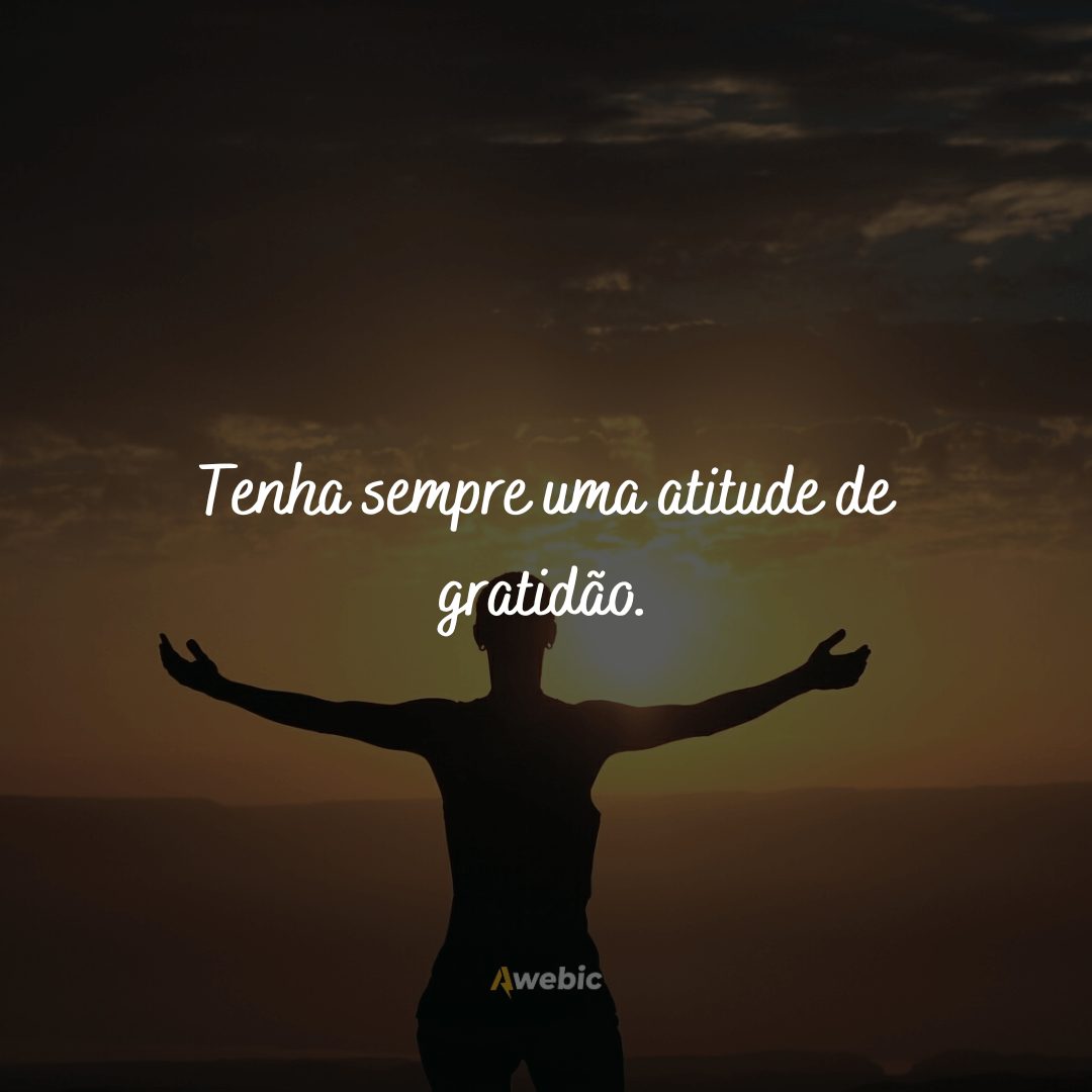 frases-do-dia-da-gratidao