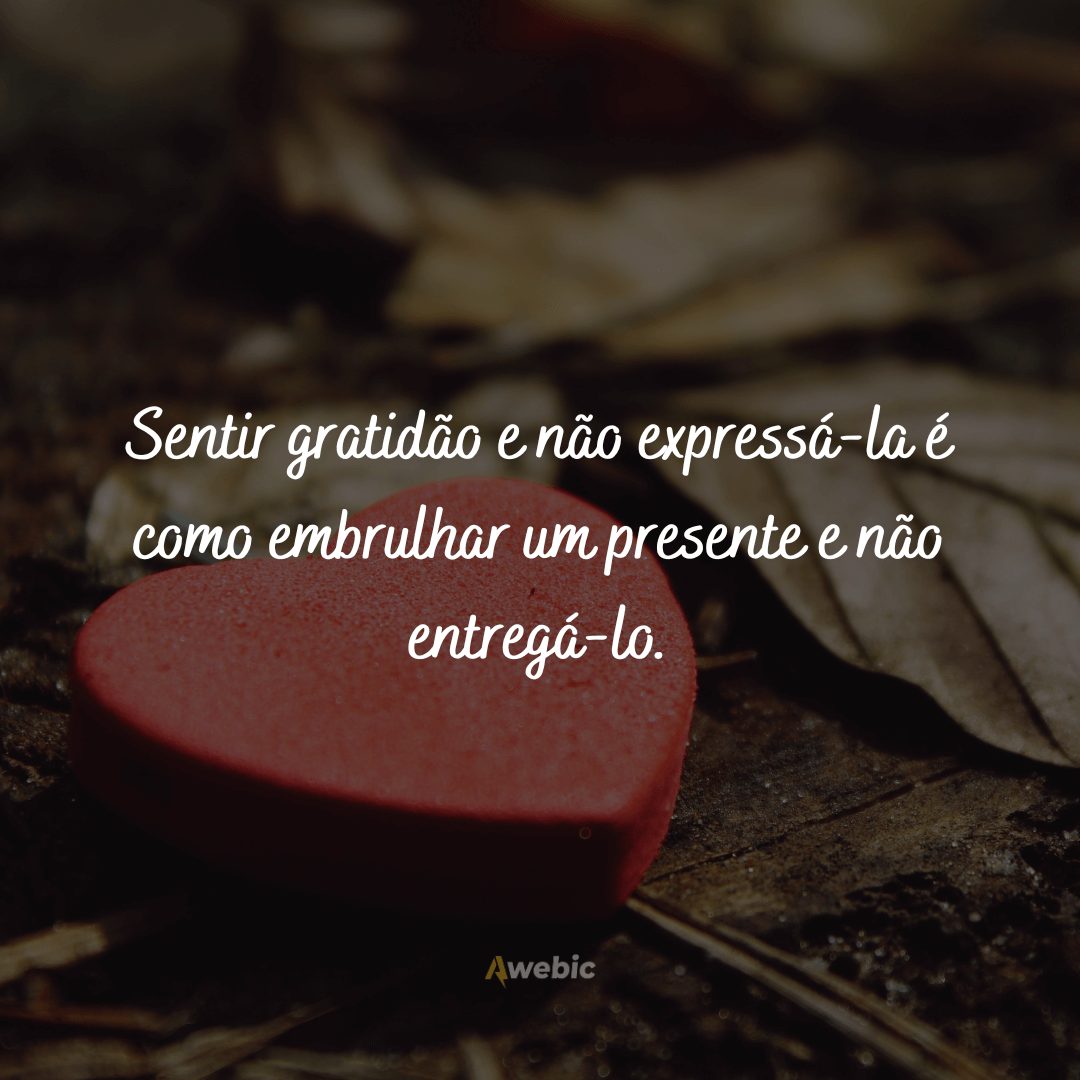 frases-do-dia-da-gratidao