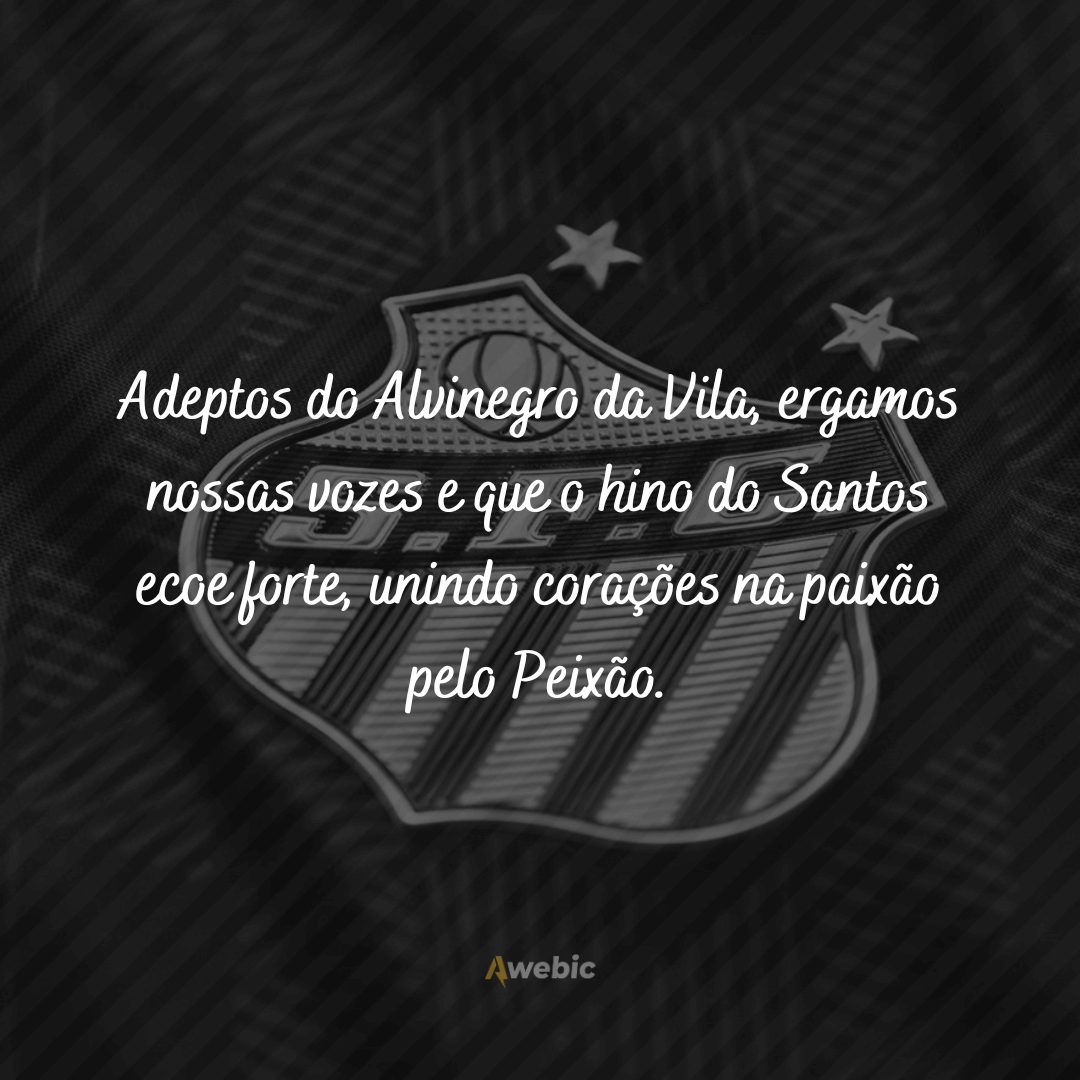 Frases do Santos Futebol Clube perfeitas para os fãs