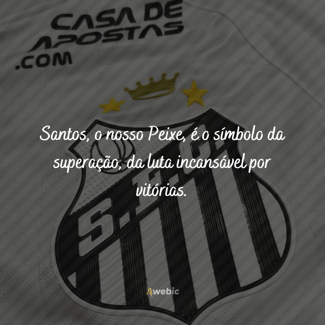 Frases do Santos Futebol Clube perfeitas para os fãs