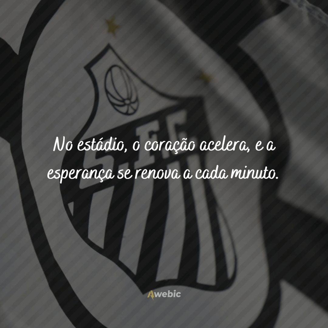 Frases do Santos Futebol Clube perfeitas para os fãs