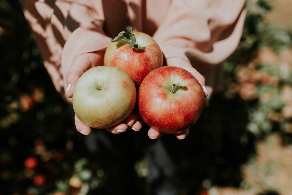 Sonhar com maçã: o que sonhos com a fruta podem dizer?