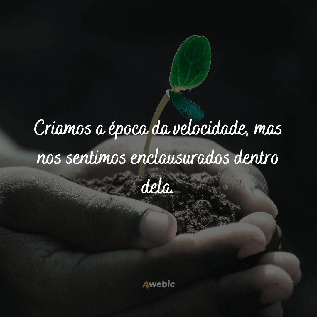 Trechos de poemas sobre a vida