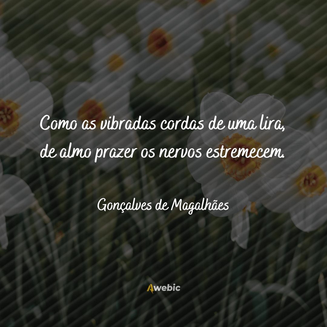 Frases de Gonçalves de Magalhães: só as melhores