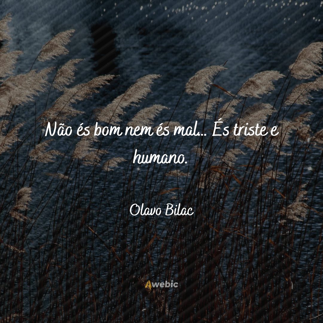 frases de Olavo Bilac carregadas de reflexões para você