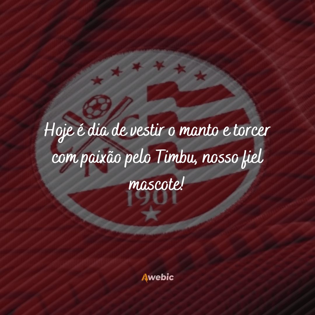 Frases do Clube Náutico Capibaribe: torcendo com fervor