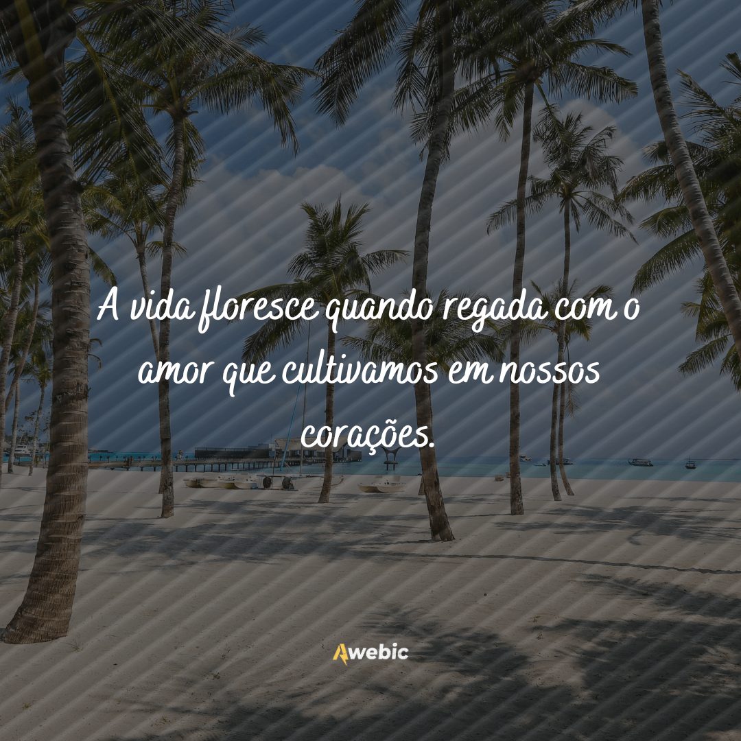 frases de REFLEXÃO sobre a vida para te fazer pensar