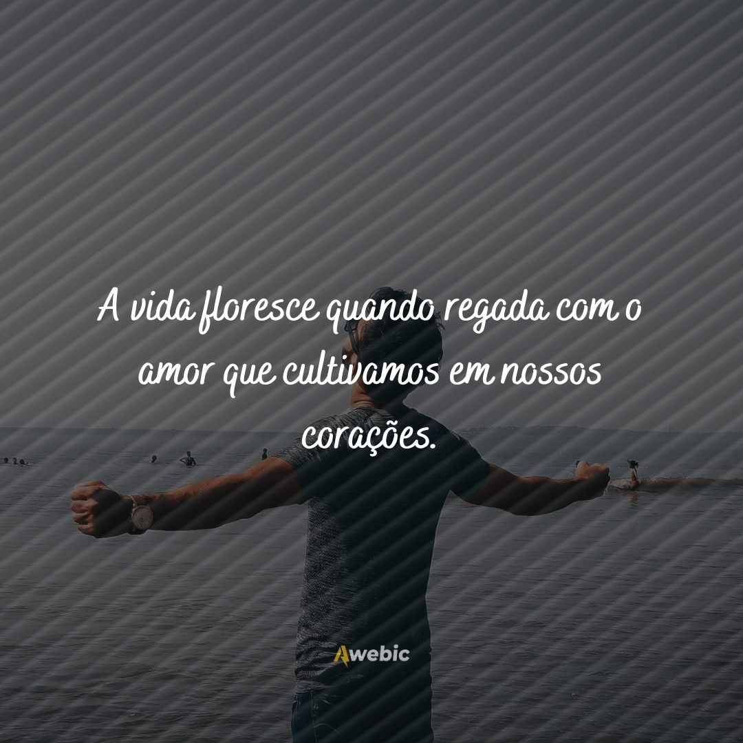 frases de REFLEXÃO sobre a vida para te fazer pensar