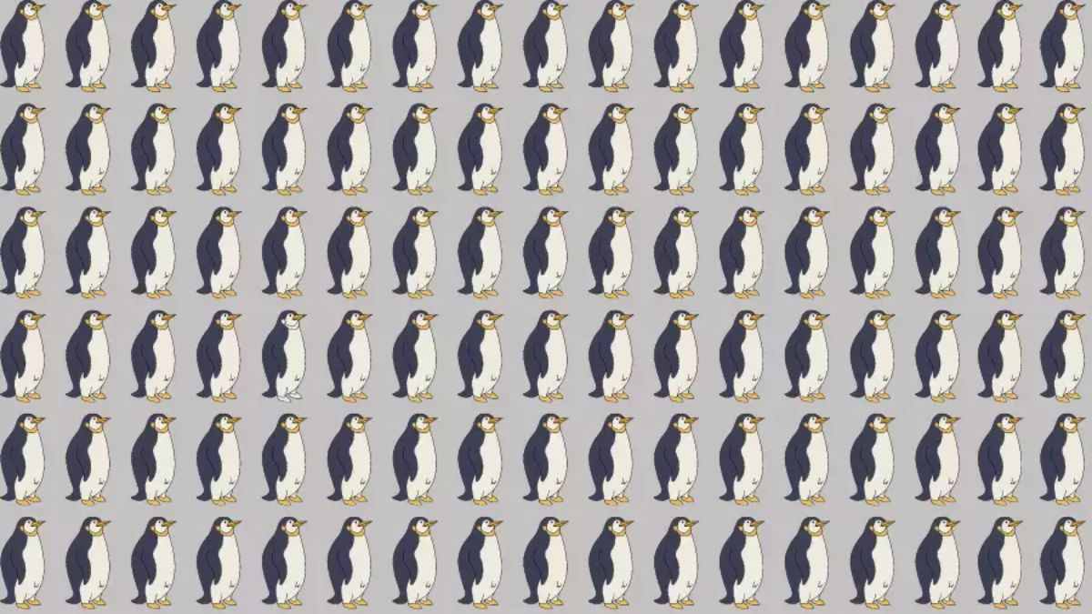 Só existe um PINGUIM diferente dos iguais, encontre-o no desafio