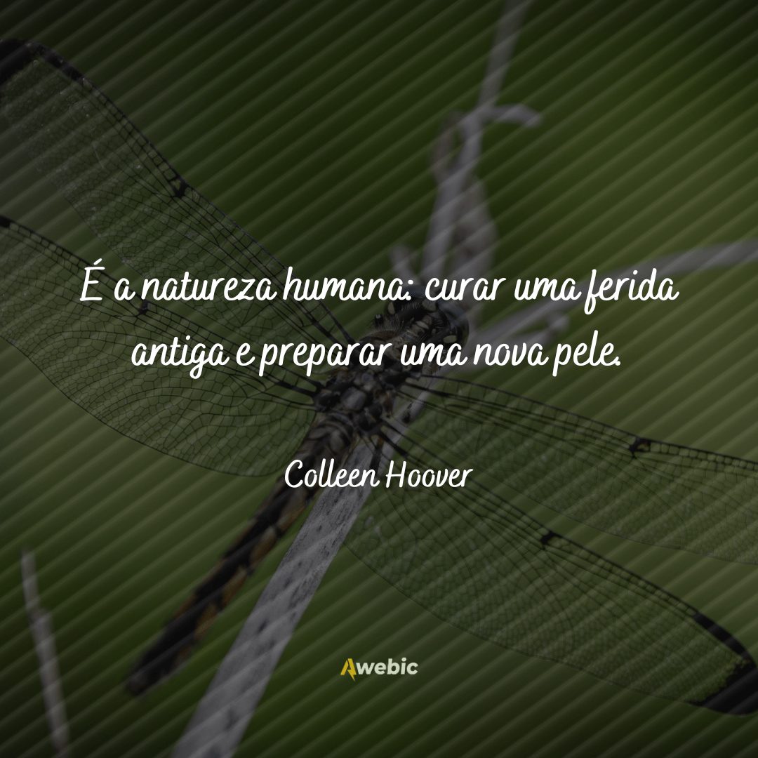 citações de Colleen Hoover para toda mulher se apaixonar