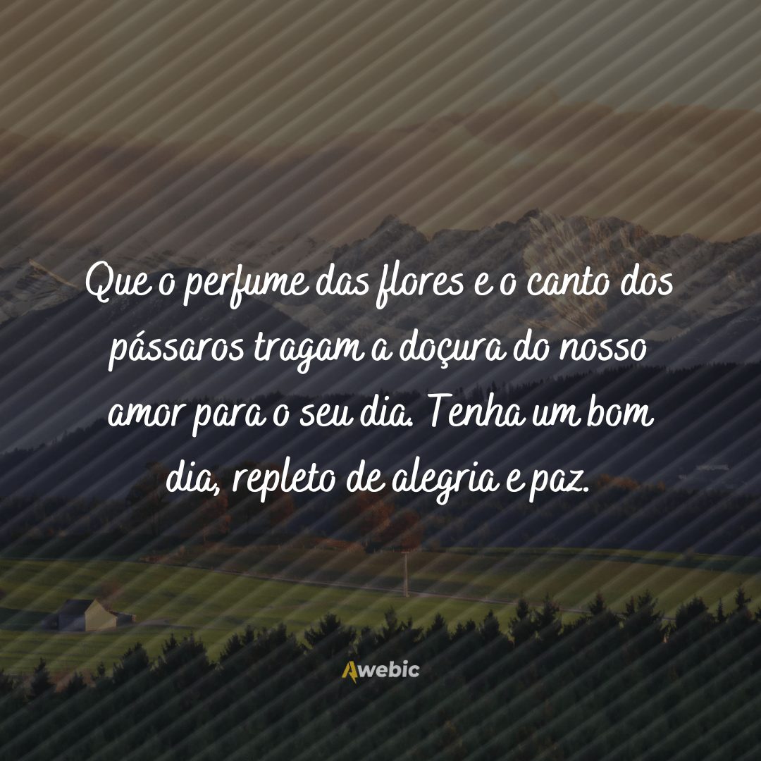 mensagens de bom dia, quarta-feira abençoada para enviar luz