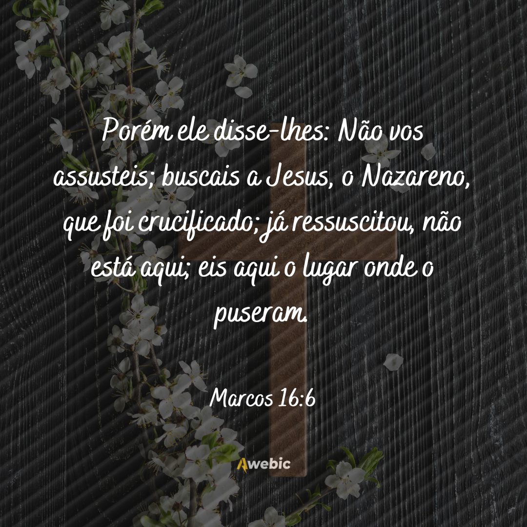 versículos de Páscoa para mandar pra família hoje mesmo