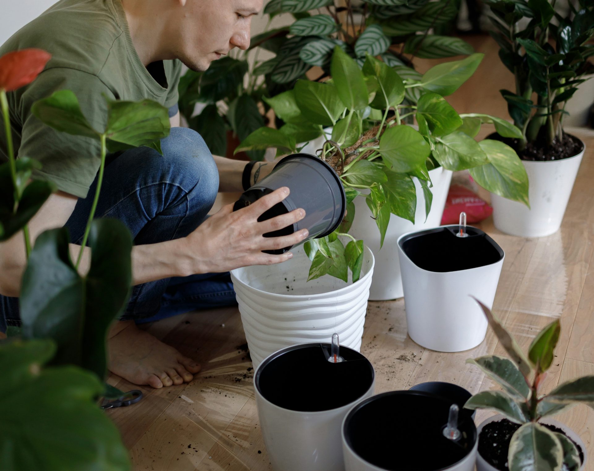 tipos-de-vasos-para-plantas-dentro-de-casa-com-estilo-rustico