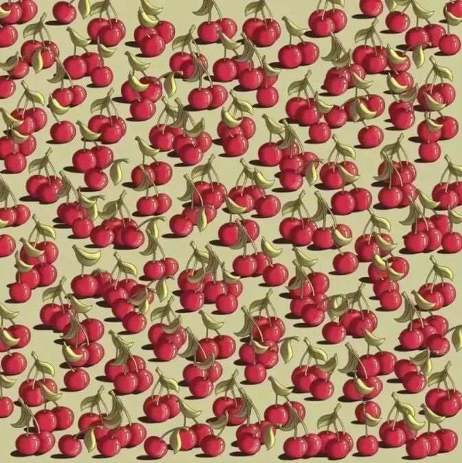 Enigma visual: descubra o tomate camuflado entre as cerejas com velocidade