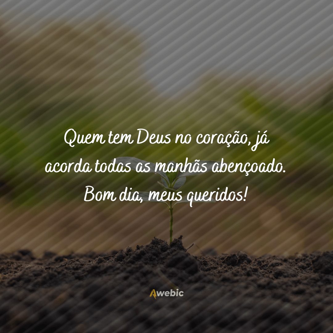 frases de bom dia domingo abençoado para enviar e refletir