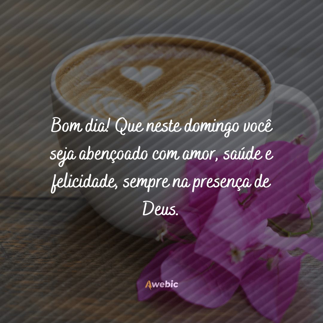 frases de bom dia domingo abençoado para enviar e refletir