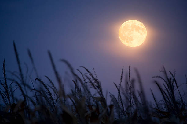 Poema mais lindo sobre a lua cheia