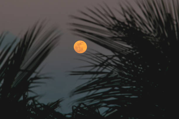 Poema mais lindo sobre a lua cheia