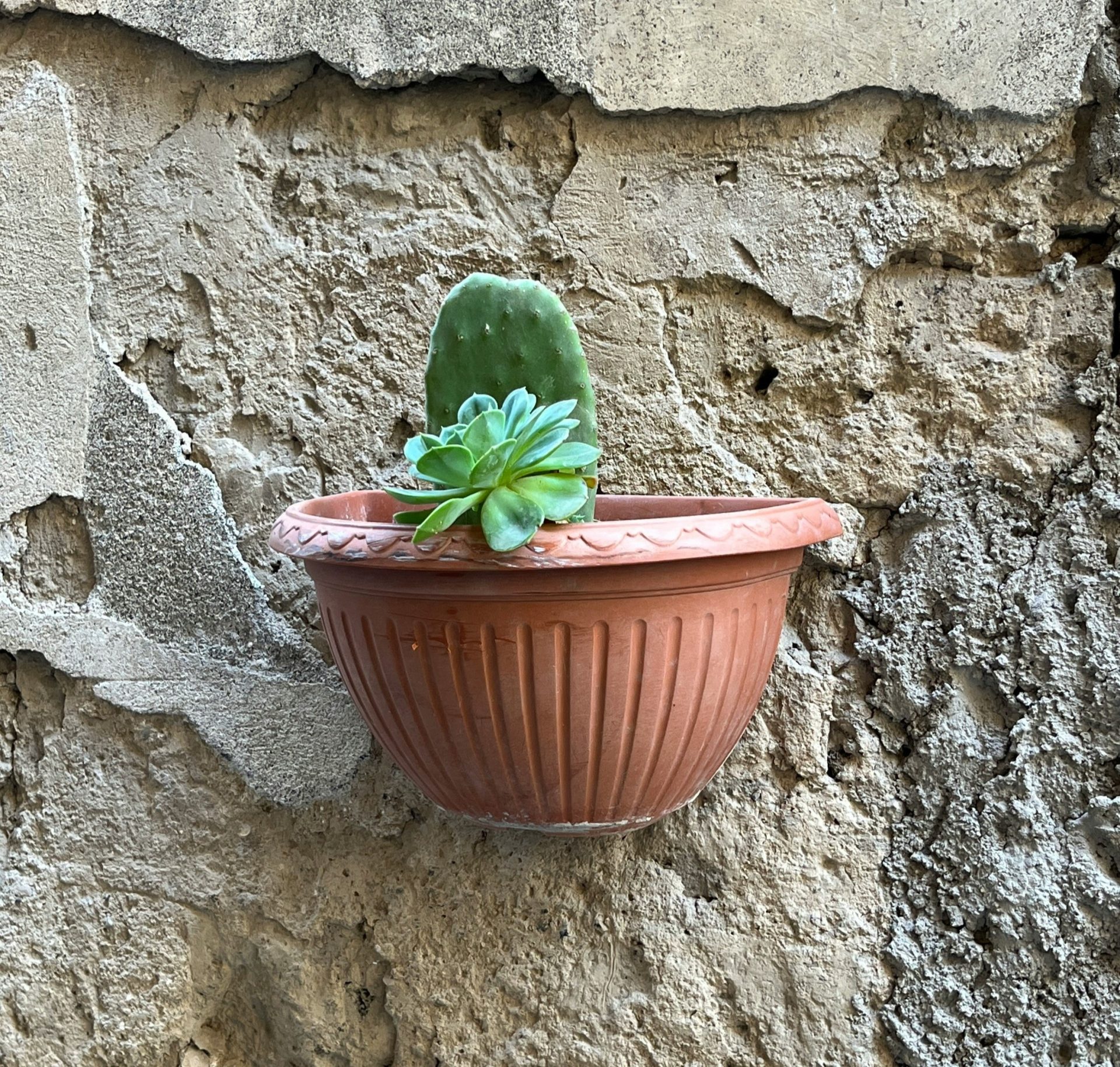 tipos-de-vasos-para-plantas-dentro-de-casa-que-promovem-o-bem-estar