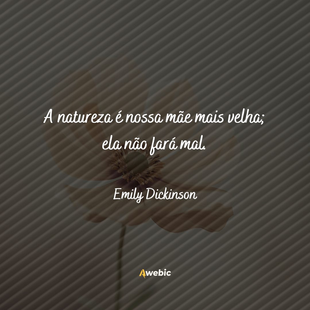 frases de Emily Dickinson para pessoas cheias de amor