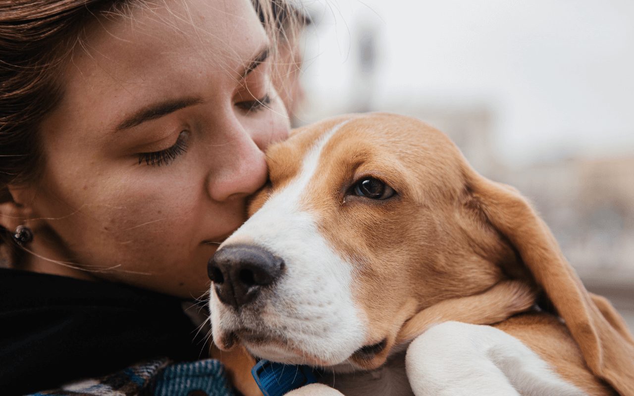 Frases de saudade de pet que já partiu: sinta seu coração abraçado